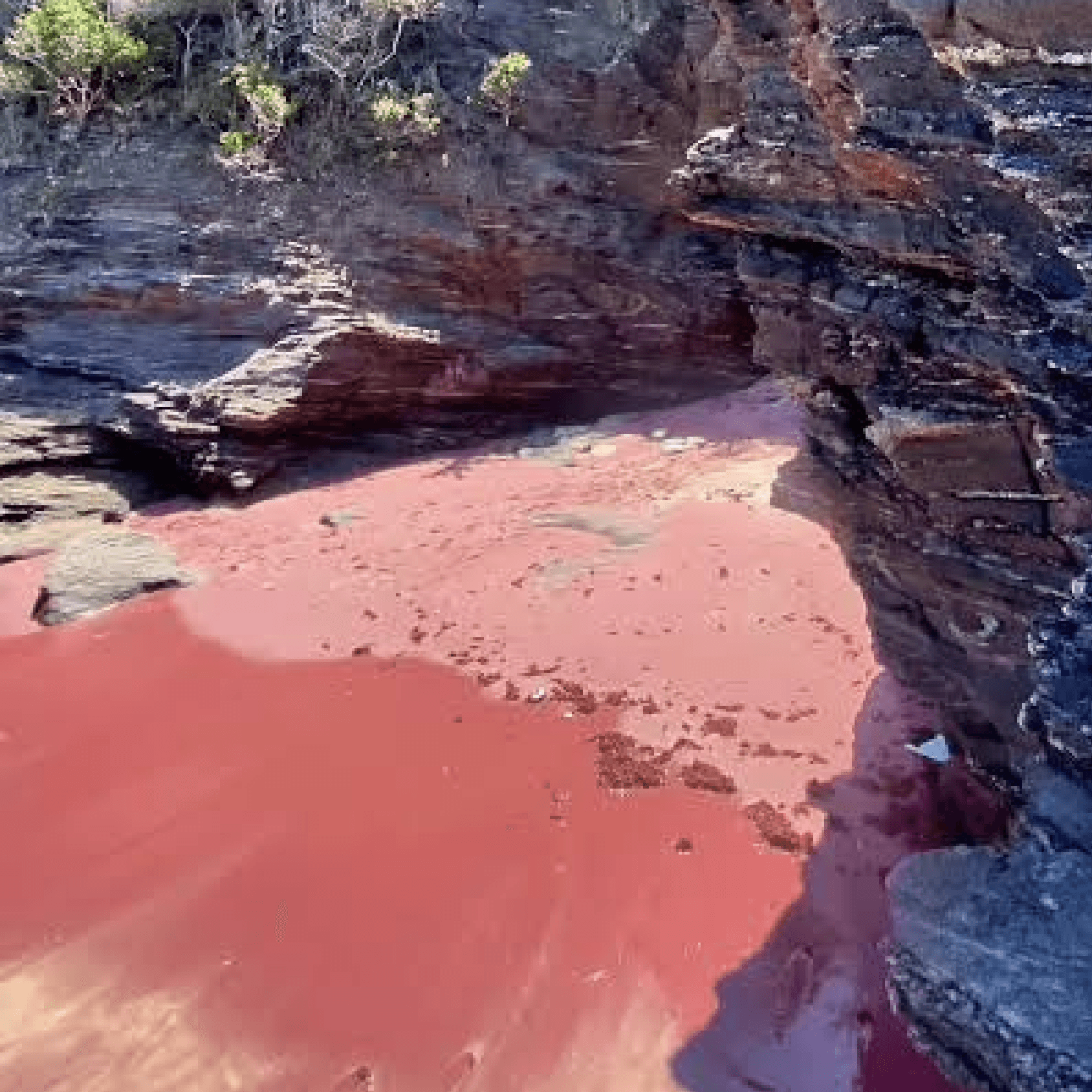 Paraíso cor de rosa intocado em Búzio