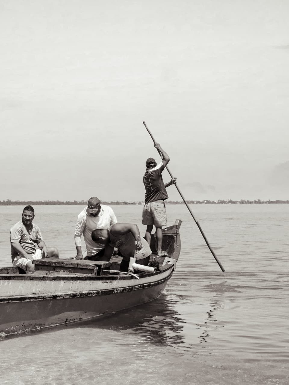 Domingo é dia de festa em Figueira com o 1º Festival das Águas